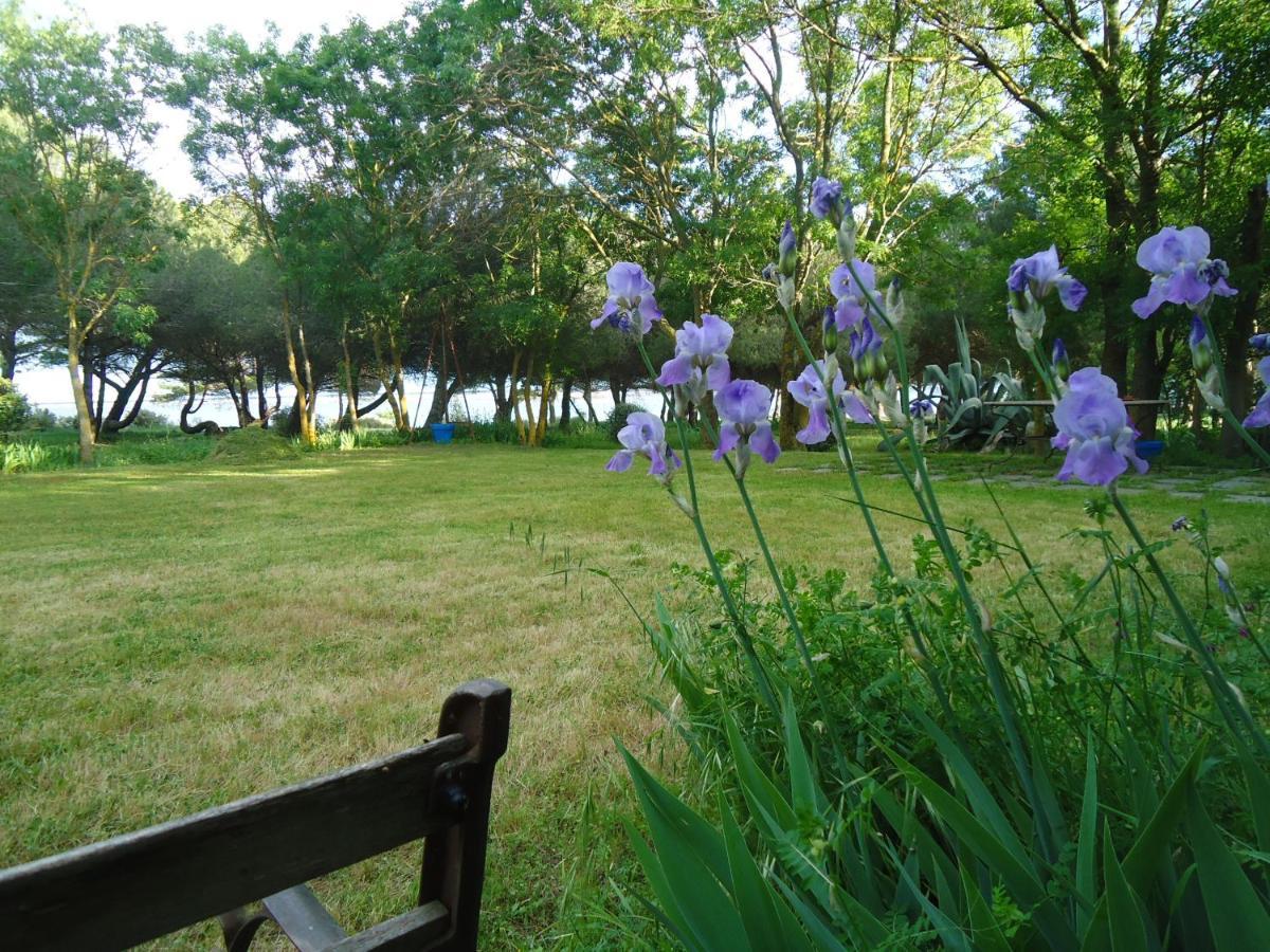 마르세이앙 Au Bord De Thau B&B 외부 사진