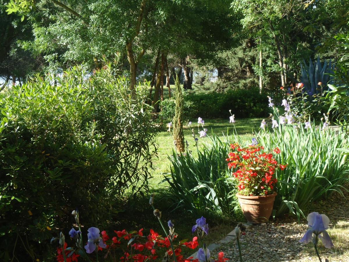 마르세이앙 Au Bord De Thau B&B 외부 사진