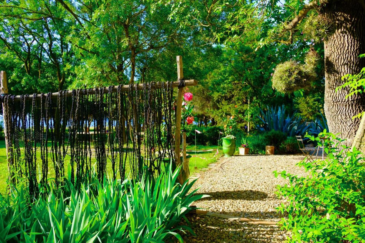 마르세이앙 Au Bord De Thau B&B 외부 사진