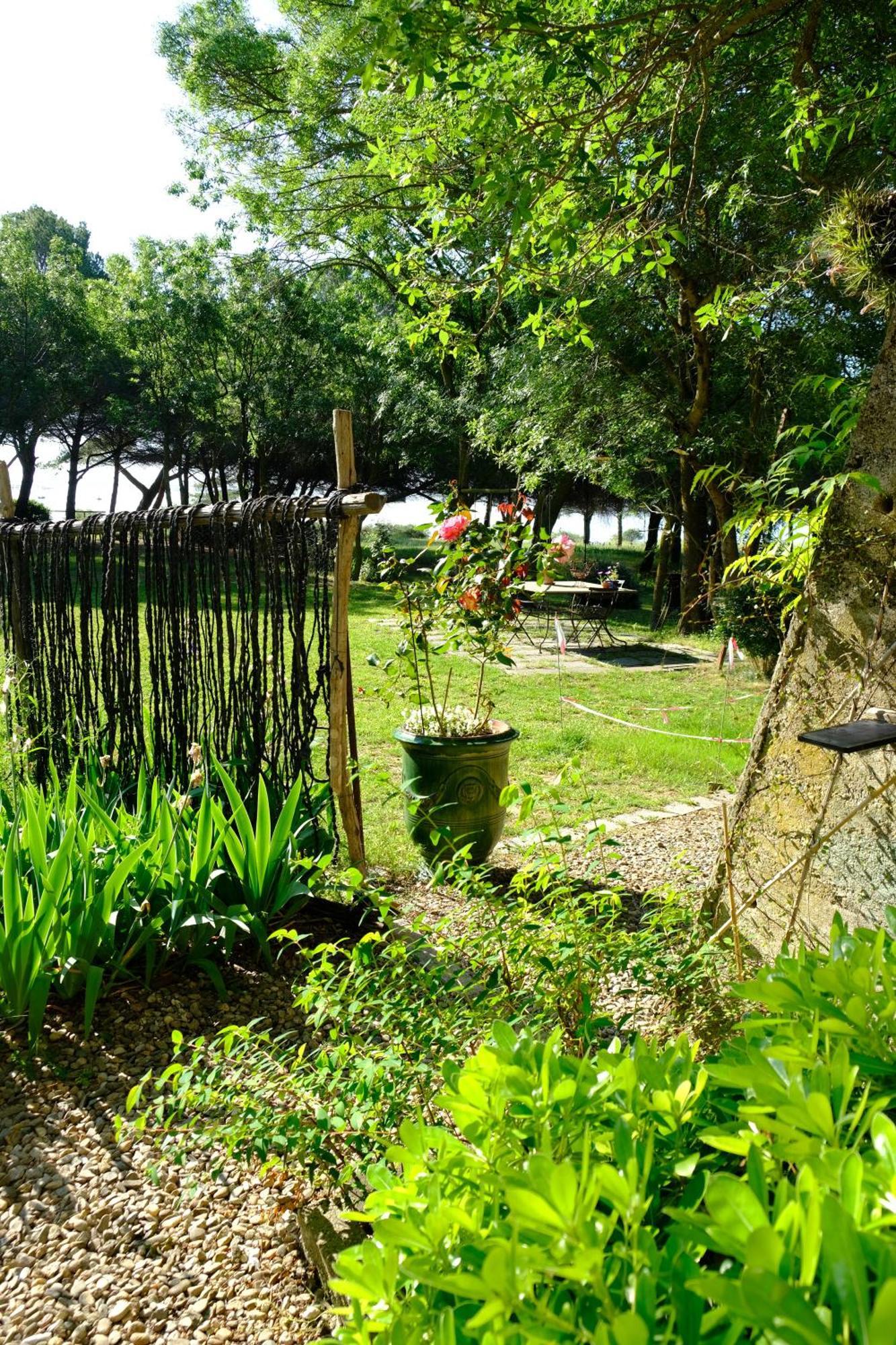 마르세이앙 Au Bord De Thau B&B 외부 사진