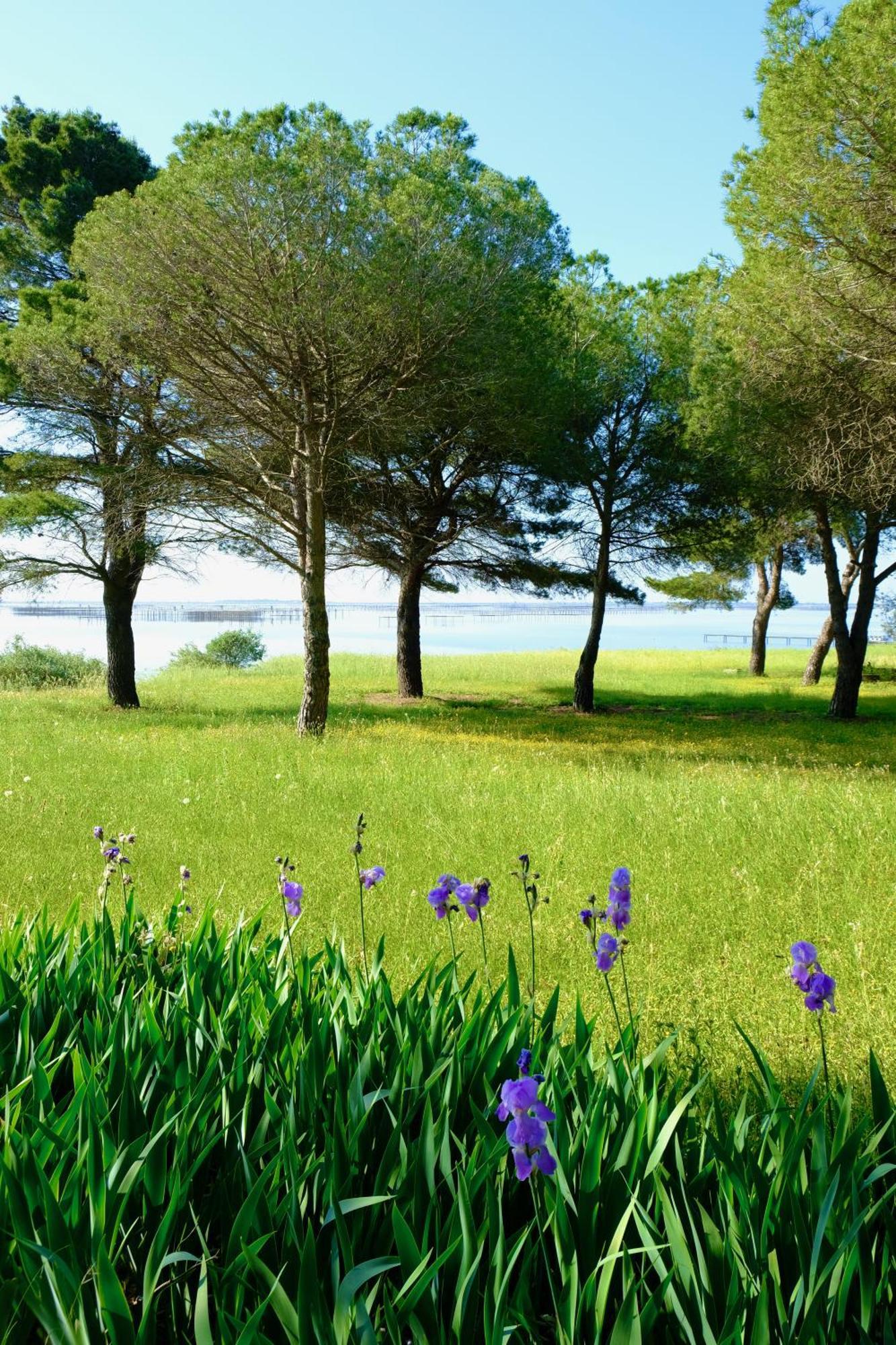 마르세이앙 Au Bord De Thau B&B 외부 사진
